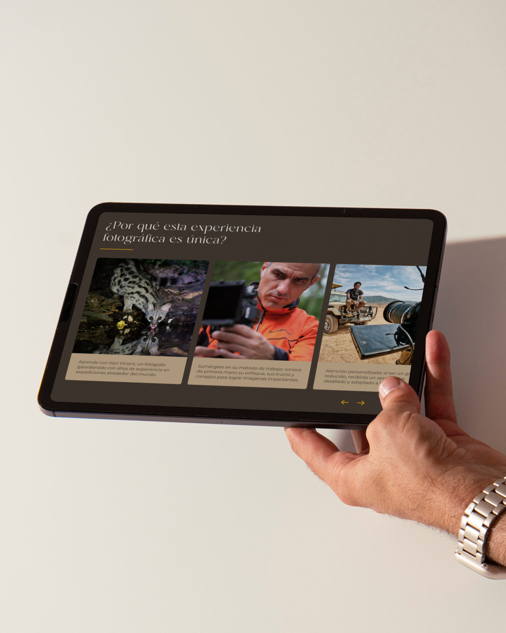 Mock up diseño web tablet para GoThombi - The Backstage