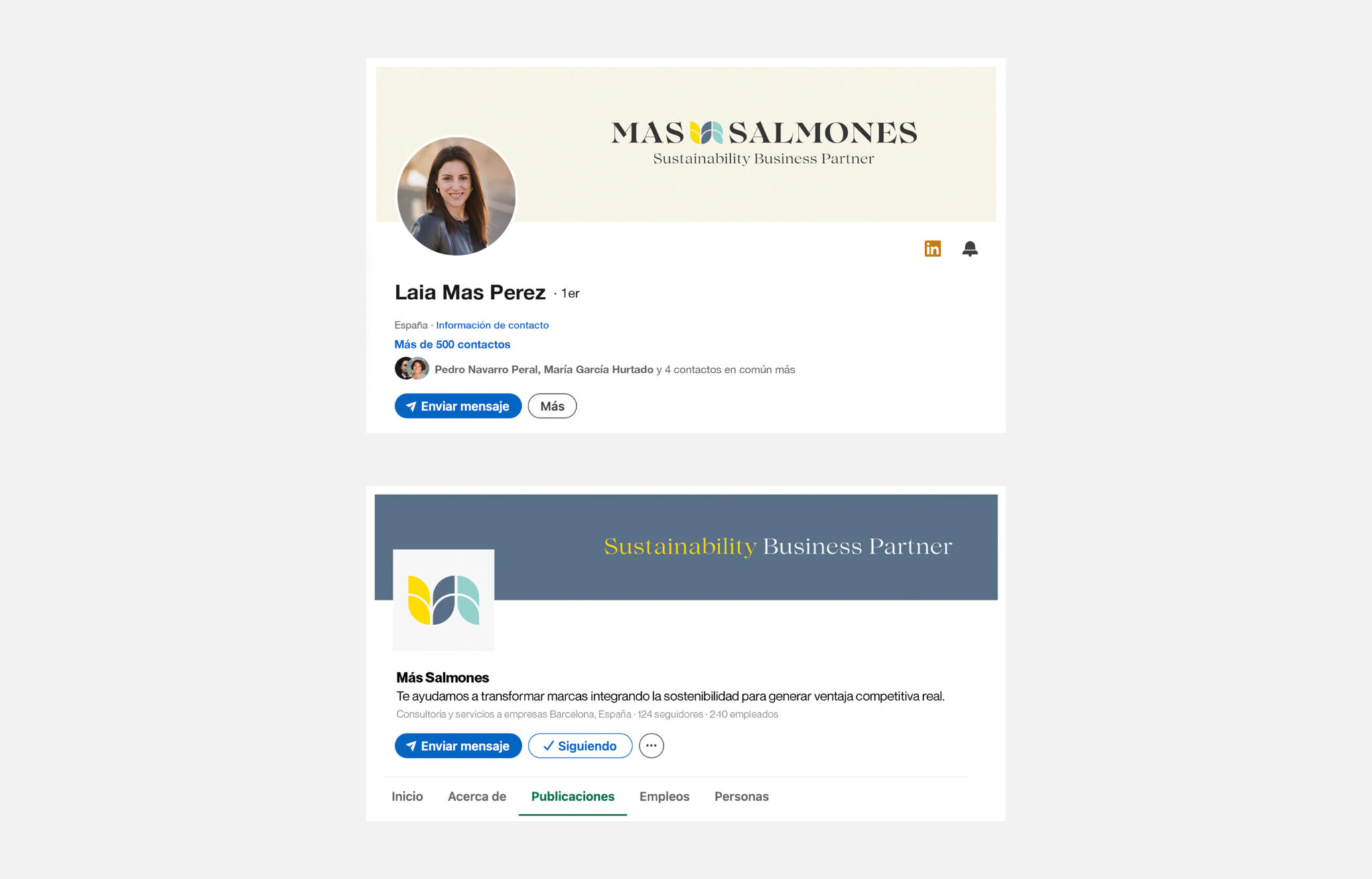 Diseño perfiles de LinkedIn para MAS SALMONES - Branding The Backstage